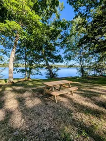 Little Red Cabin on 1/2 Mile Waterfront - Image 4