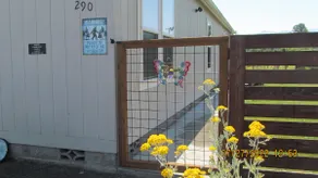 Olympic Trail Cottage Full mountain view, Wildlife - Image 2