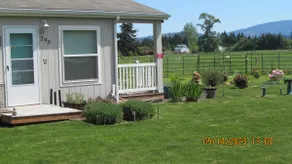 Olympic Trail Cottage Full mountain view, Wildlife - Image 3