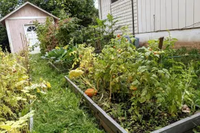 ✦✧Top-Level✦ Veggie Garden✦ Balcony✦ 100Mbs✦ 16min→ PDX - Image 4