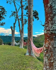 Maria Comprida Farm... - Image 5