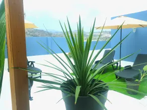 Casa La Dama de Arucas - Image 3