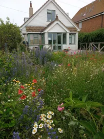 Brighton Beach Hut is back! Sea, country and city. - Image 3