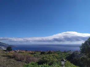 Carlota - Image 5