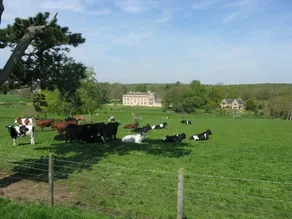 Moo cow cottage self catering in Rutland. - Image 5