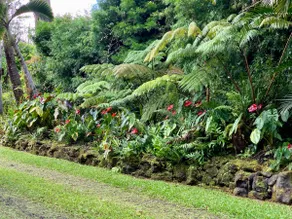 Kupono Gardens - Sleeps 4 Gated Private Estate - Image 3