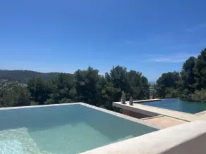 Maison Leï Tapenié - piscine & jacuzzi - Image 2