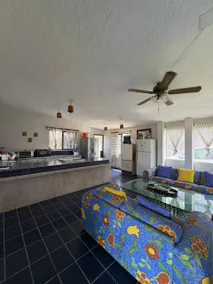 Seyle: Enjoy a large garden, pool and fronton. - Image 5