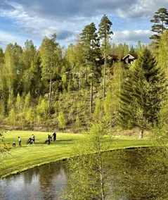 Noretjärns Stugby - Image 5