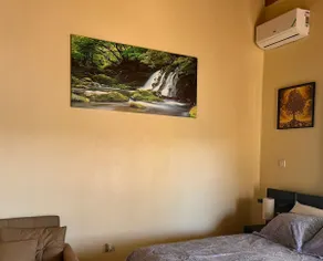 Tranquil Oasis - Image 5