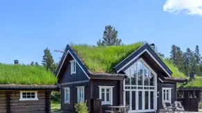 Cozy cabin with jacuzzi - Image 3