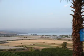 Casa Cohen Kinneret - Holiday Home with Pool - Image 2
