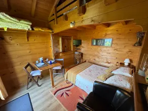 Small wooden chalet in the mountains - Image 3