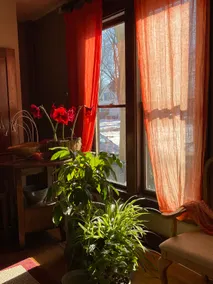 Secret Garden - Image 5