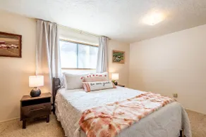 Cozy & Dog-Friendly Split-Entry Home - Sleeps 9 - Image 5