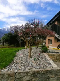 Enrichetta Apartment - Image 4