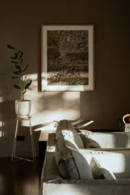 Homestead MMW - Image 3