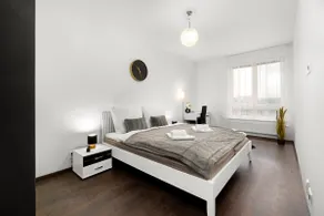 BNB Modern Apartment Ostrava Center +Garage Option - Image 4