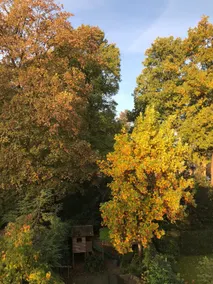 Koetshuis Doorn - Image 5