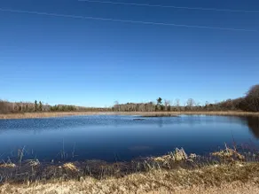 20 acre retreat in Rexton on snowmobile/ORV trails - Image 2