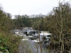 Bumblebee Cottage, Aysgarth Falls - Image 5