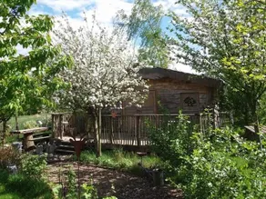 ”Head in the Stars” Treehouse - Image 2