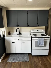 Newly Remodeled 1BR - By Airport - Image 4