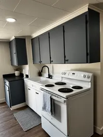 Newly Remodeled 1BR - By Airport - Image 5