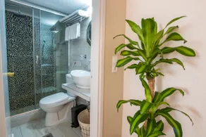 Gorgona Blue Apartments - Image 4