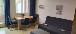 Alpine Wellness Apartment - Peace & Pool - Image 5
