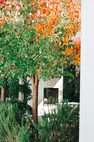 Arthur | Boutique Accommodation - Image 5