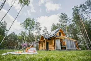 ”Zacisze Brzozowe” - a house in the woods - Image 2