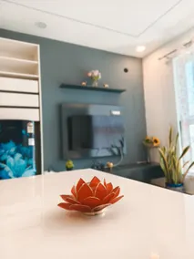 Premium 1BHK for 4 with Lakeview - Urban Sunflower - Image 2