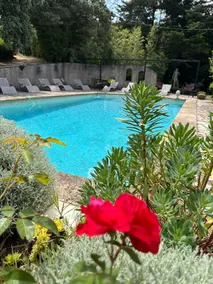 Villa ”Dolce Vita” in Uzès - Image 3