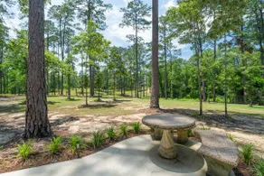 Twisted Pine close to Three Lakes Manor - Image 3