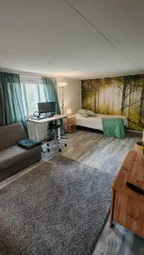Summer residence in the countryside of Porvoo - Image 2