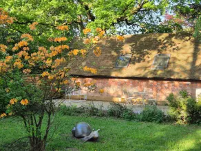 The Studio, Apedroc - Image 3
