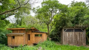 Cabin at the edge of the woods - Image 2