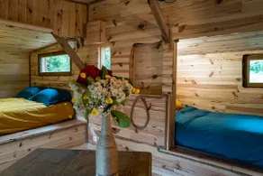 Cabin at the edge of the woods - Image 4
