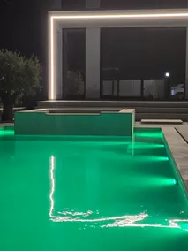 Aventus Luxury Villa - Image 3