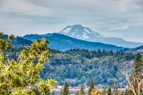 Mt. Adams View | Trails, River, Pets OK, Downtown - Image 2
