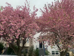 Beautiful house - Image 2