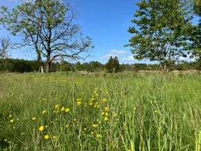 Eks Gård - Image 4