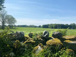 Eks Gård - Image 3