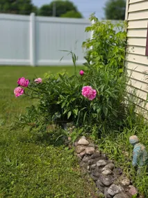 The Yellow Rose Cottage - Image 4