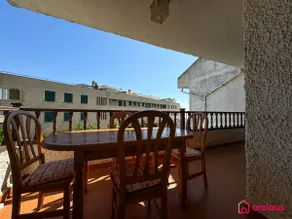 Mediterranean Azahar - Image 2