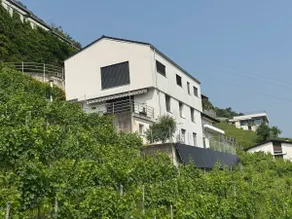 Ca Mea - Lake View, Parking, EV - Image 4