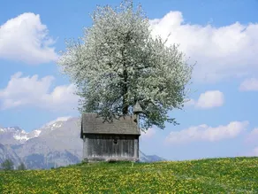 Vacation home with mountain view - Image 2