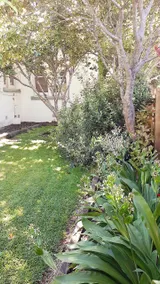 Blue Lake Cottage - Walk to the Lake & Main St - Image 3