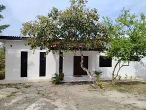 CasAna - Image 5